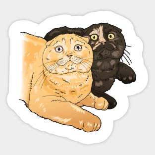 Cleo and Jack Sticker